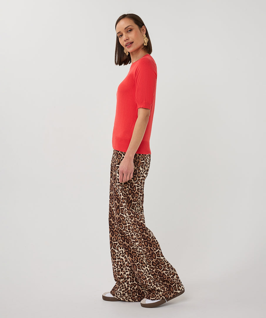 Woman wearing a red top and leopard print pants on a white background