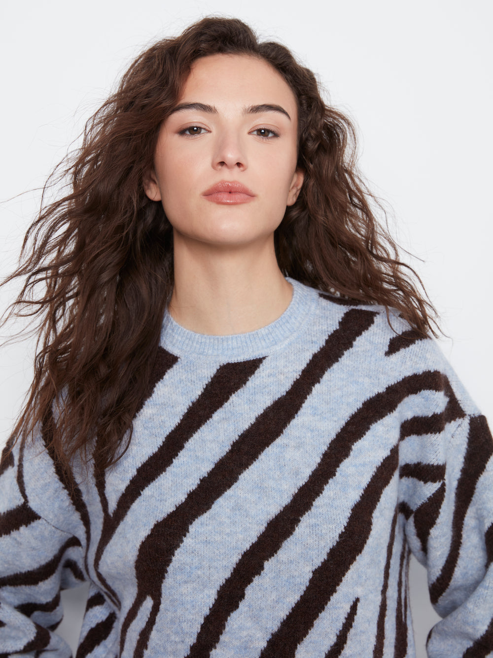 A woman with long, wavy brown hair wearing a light blue-gray knit sweater with bold dark brown zebra-like stripes, photographed against a clean white studio background.