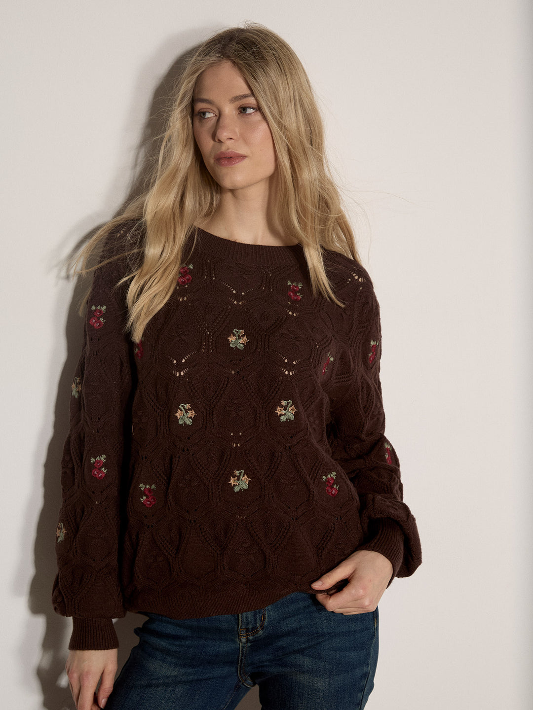 Embroidered Flowers Pointelle Sweater - Brown
