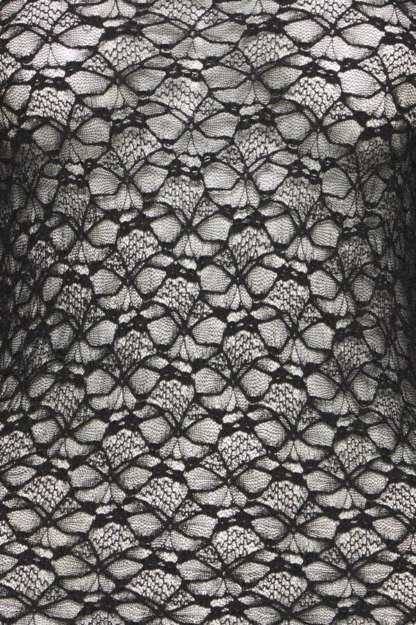 Devon Long Sleeve See Through Lace Top